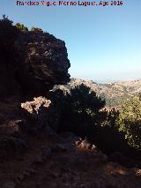 Camino de la Morra de los Pinos Blancos. 