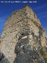 Castillo de La Espinareda. 