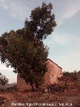 Cortijo del Quejigal. 