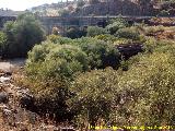 Puente del Acueducto. Acueducto y puente