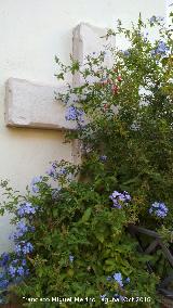 Ermita de San Roque. Cruz de piedra