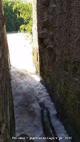 Molinos de Casas Nuevas. Salida de aguas desde el puente de unin entre los molinos