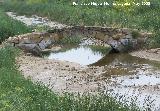 Puente romano del Salaillo. 