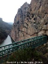 Va frrea del Chorro. Viaducto Eugenio Rivera