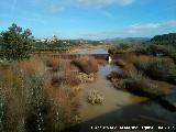 Ro Guadalimar. Presa de la Central de Arquillos (Linares)