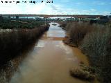 Puente Nuevo de la Estacin Linares Baeza. 