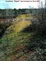 Puente Mocho. Calzada de Linares