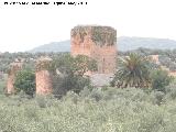 Castillo de la Aragonesa. 