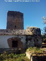 Castillo de la Aragonesa. 