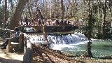 Parque Natural del Monasterio de Piedra. Los Vadillos. 