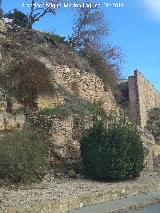 Torren de Saludeja IV. 