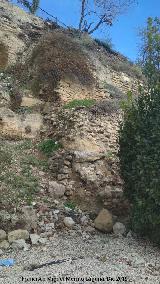 Torren de Saludeja IV. 