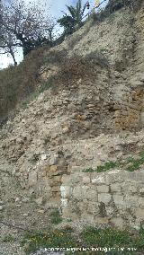 Torren de Saludeja IV. 