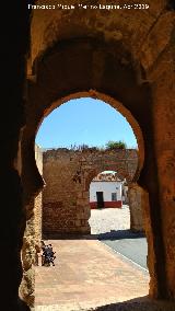 Muralla de Niebla. Puerta del Buey. Arco y portillo