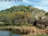 Poblado del Bronce de Alarcos. 