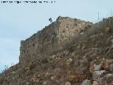 Castillo de Alarcos. Torren Norte. 