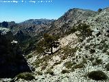 Barranco de Tnez. Desde la Morra de los Tres Mojones