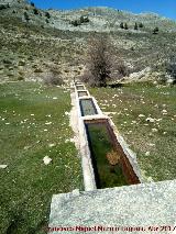 Fuente de la Morra de la Osa. 