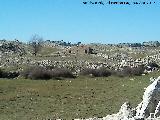 Cortijo de Cotillas. 