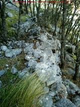 Albarradas del Cerro de la Vieja. 