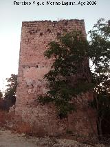 Castillo de Aldehuela. 