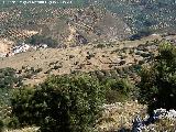 Los Corralones. Desde la Loma de las Chozuelas