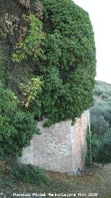 Molino Fortificado del Cubo. 