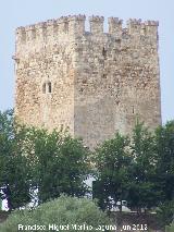 Torre de Fuencubierta. 