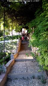 Generalife. Jardines Altos. 