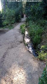 Generalife. Jardines Altos. Acequia Real