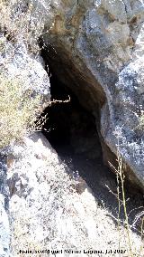 Pinturas rupestres de la Cueva Norte de las Peas de Castro. Cueva