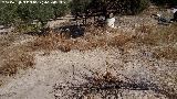 Era del Cortijo de la Torre. 