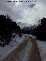 Sendero de Fuenmayor. 