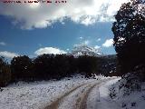 Sendero de Fuenmayor. 