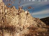 Castillo de Recena. 