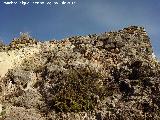 Castillo de Recena. Muralla oeste