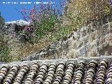 Torren de la Crcel de los Caballeros. Muralla entre las casas desde el Postigo de la Calancha hasta el Torren de la Crcel de los Caballeros