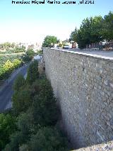 Muralla de Saludeja. 