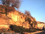 Torren de Saludeja III. Con la muralla reconstruida al fondo