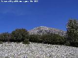 Cerro Ponce. 