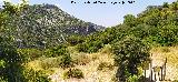 Sendero Garganta Verde. 