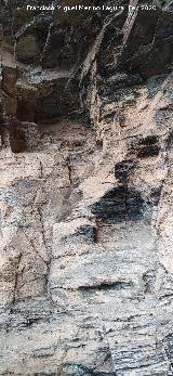 Pinturas rupestres del Abrigo del Guadal�n II. 