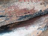 Pinturas rupestres del Abrigo del Guadal�n III. 