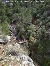 Puente Superior del Aguascebas Chico. 