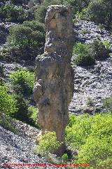 Caon de Pitillos. Formacin de piedra caliza