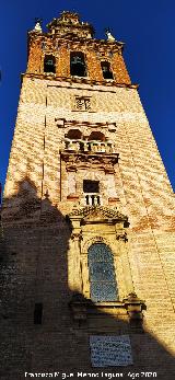 Iglesia de San Pedro. Campanario