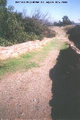 Puente de la Golondrina. Calzada