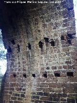 Puente de la Golondrina. Mechinales