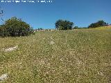 Poblado prehistrico del Cerro del Salto. Zona de hbitat