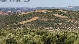 Cerro La Atalaya. Desde Casa Pesetas